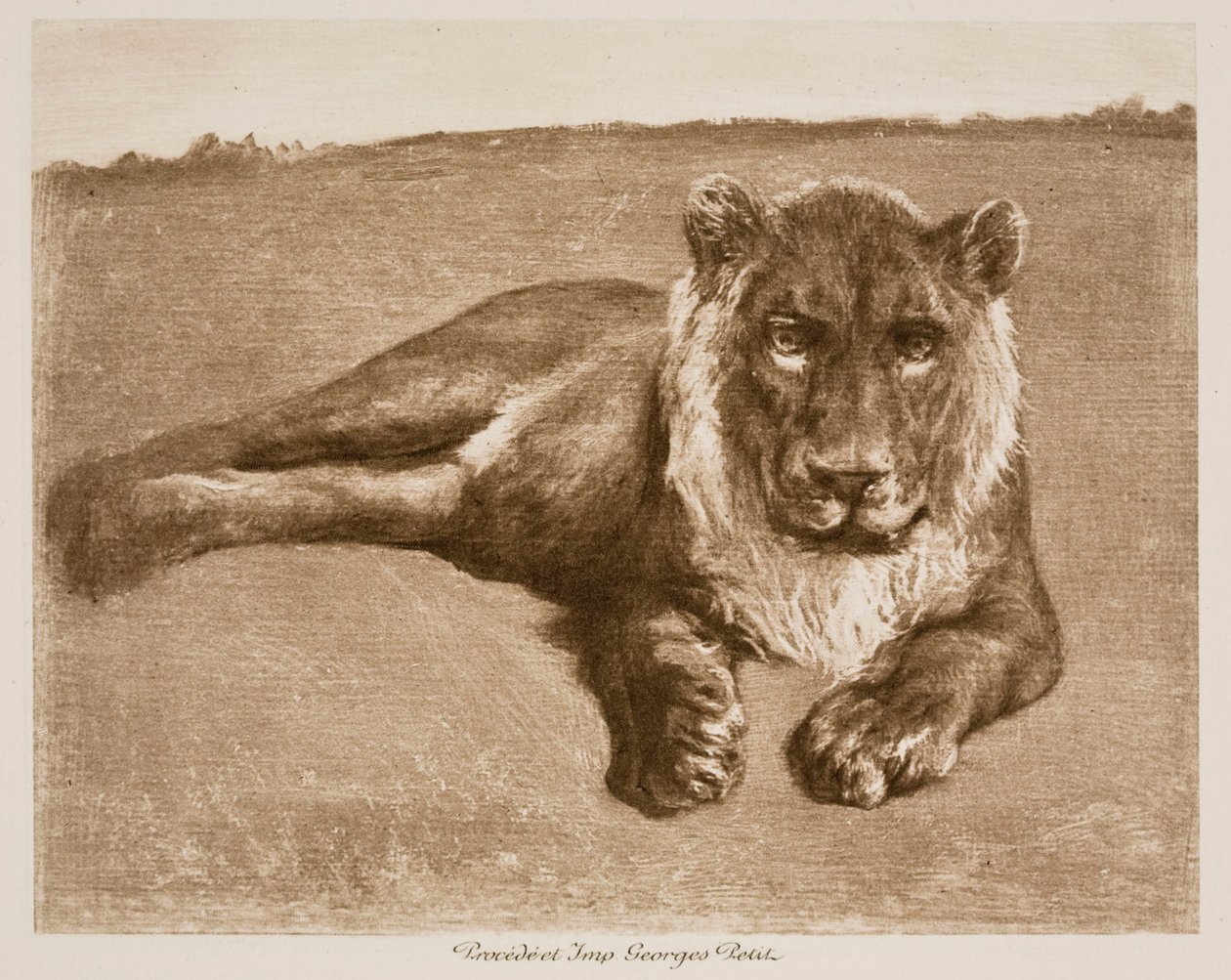 Løve af Rosa Bonheur