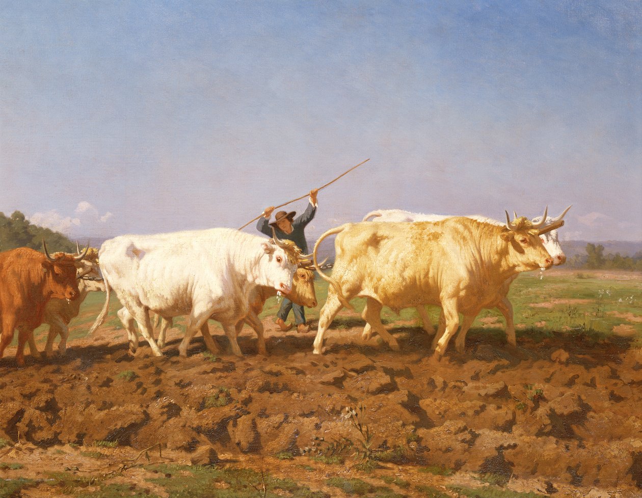 Pløjning i Nivernais, 1850 detalje af 60149 af Rosa Bonheur