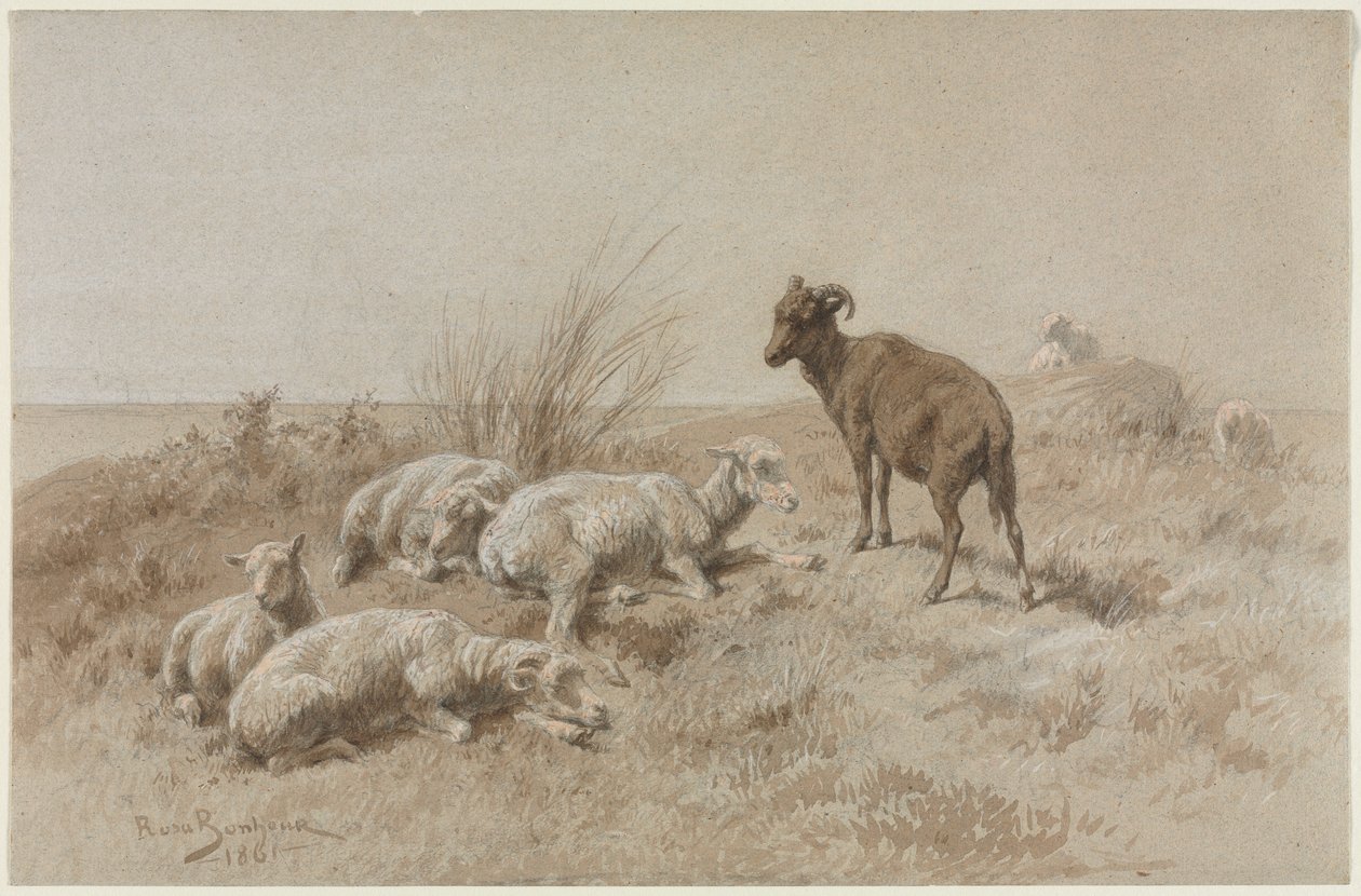 Får af Rosa Bonheur