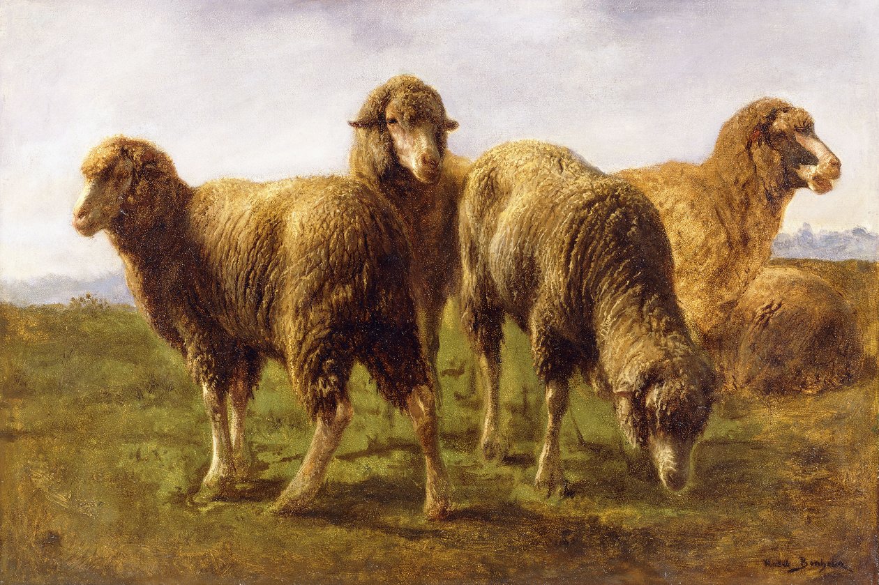 Får græsser på en eng, af Rosa Bonheur