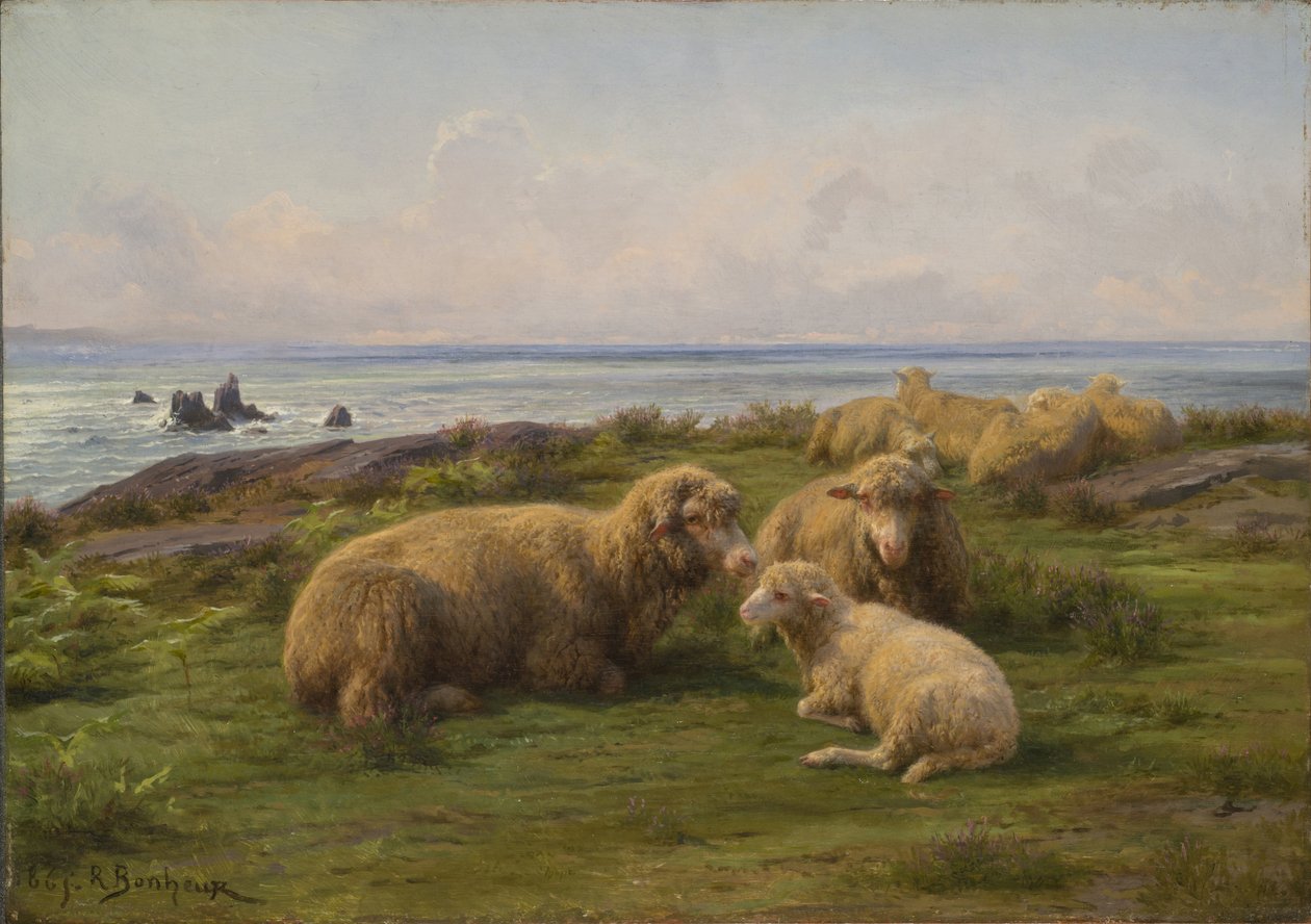 Får ved havet af Rosa Bonheur