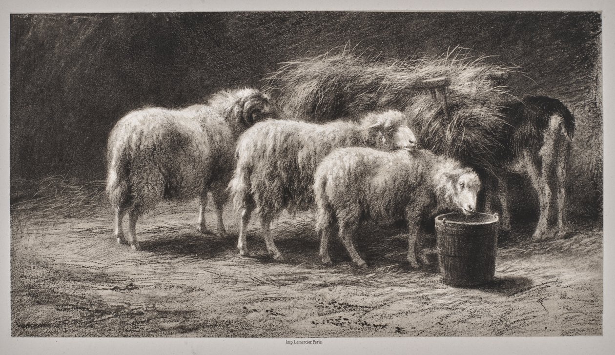 Fårefold af Rosa Bonheur