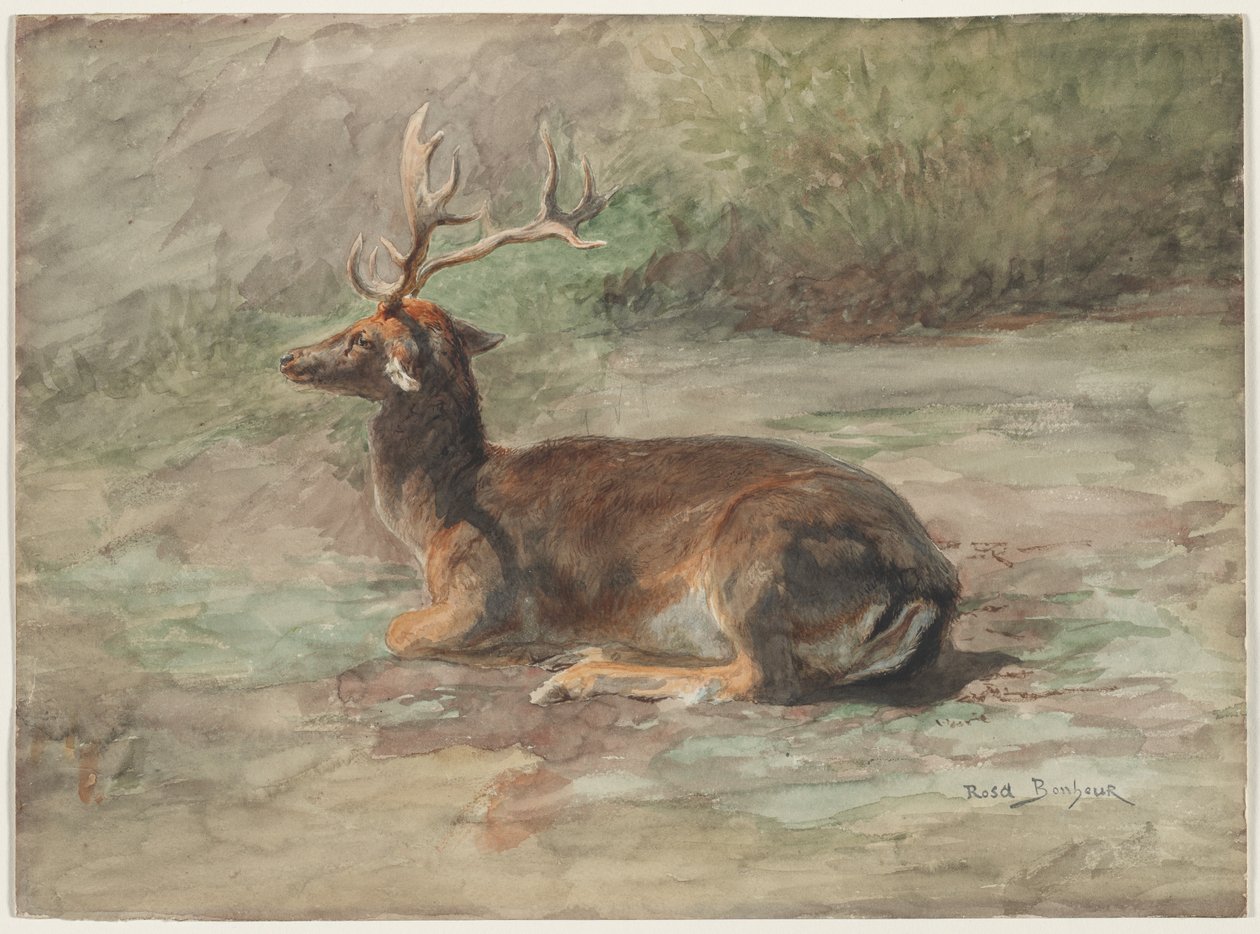 Hjorten ligger ned af Rosa Bonheur