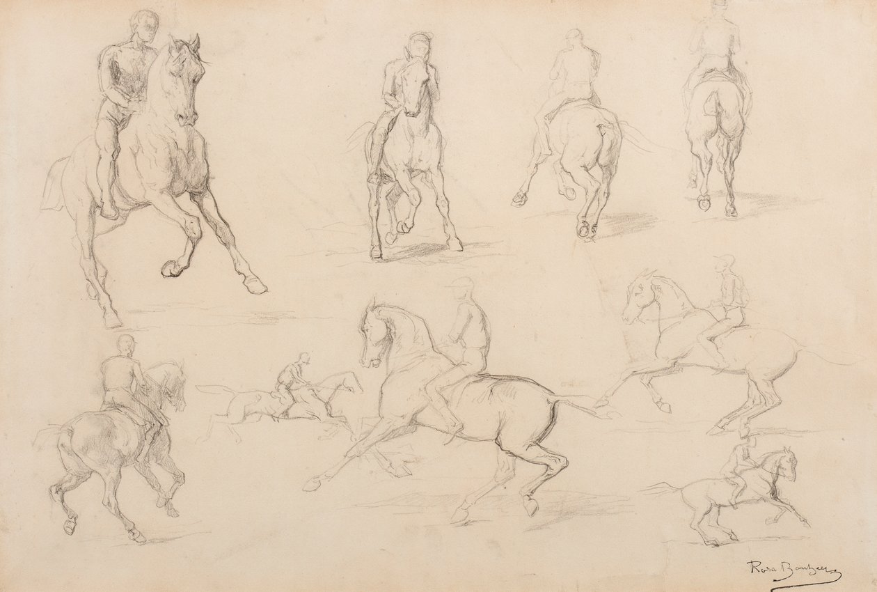 Studier af en hest og rytter (grafit på hvidt vævet papir) af Rosa Bonheur