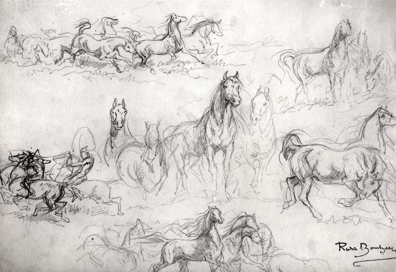 Studie af heste af Rosa Bonheur