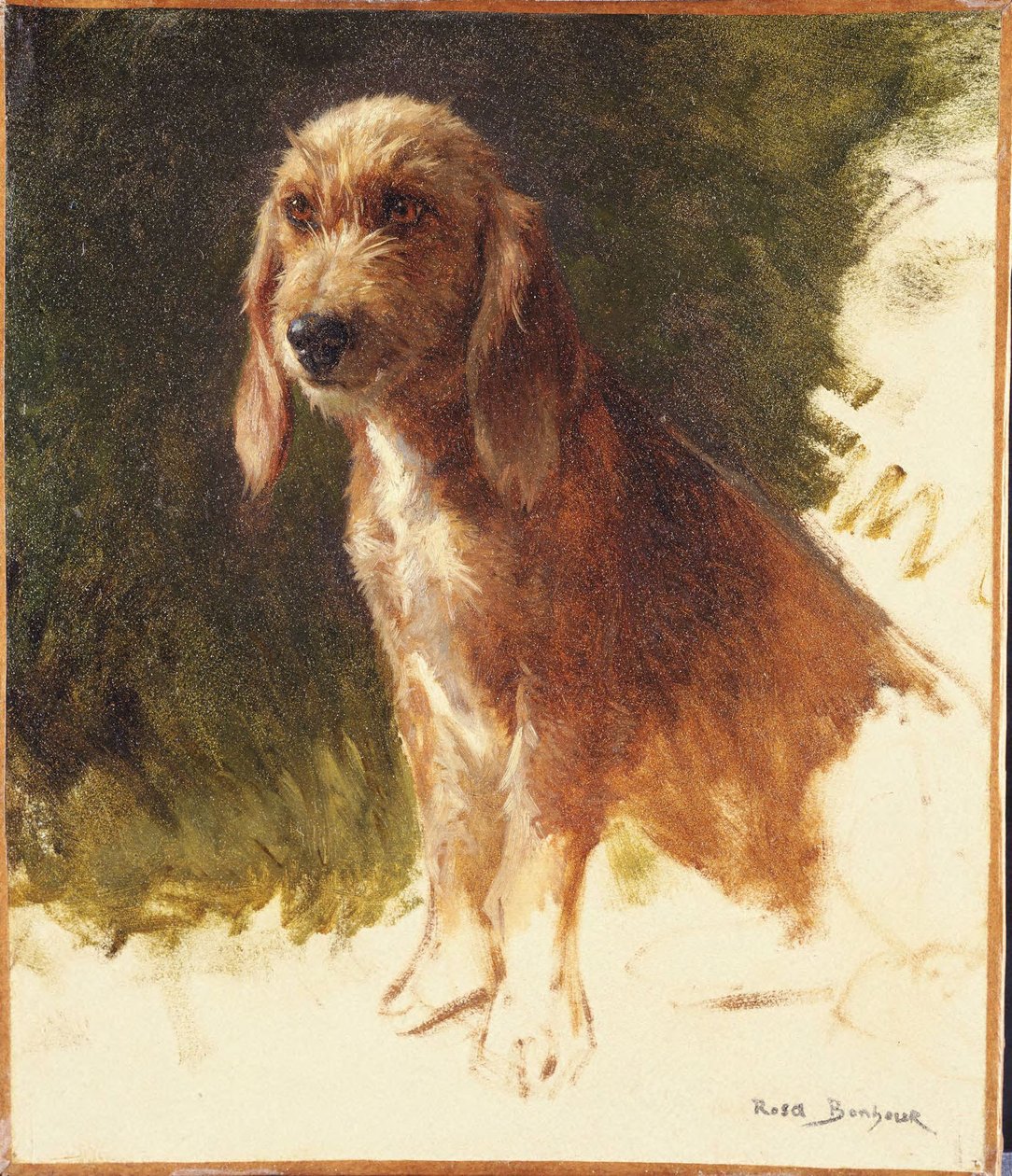 Studie af en hund af Rosa Bonheur