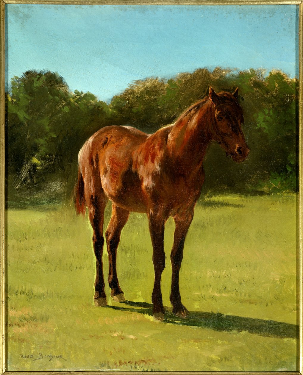 Undersøgelse af hest bai kirsebær. Maleri af Rosa Bonheur (1822-1899) af Rosa Bonheur