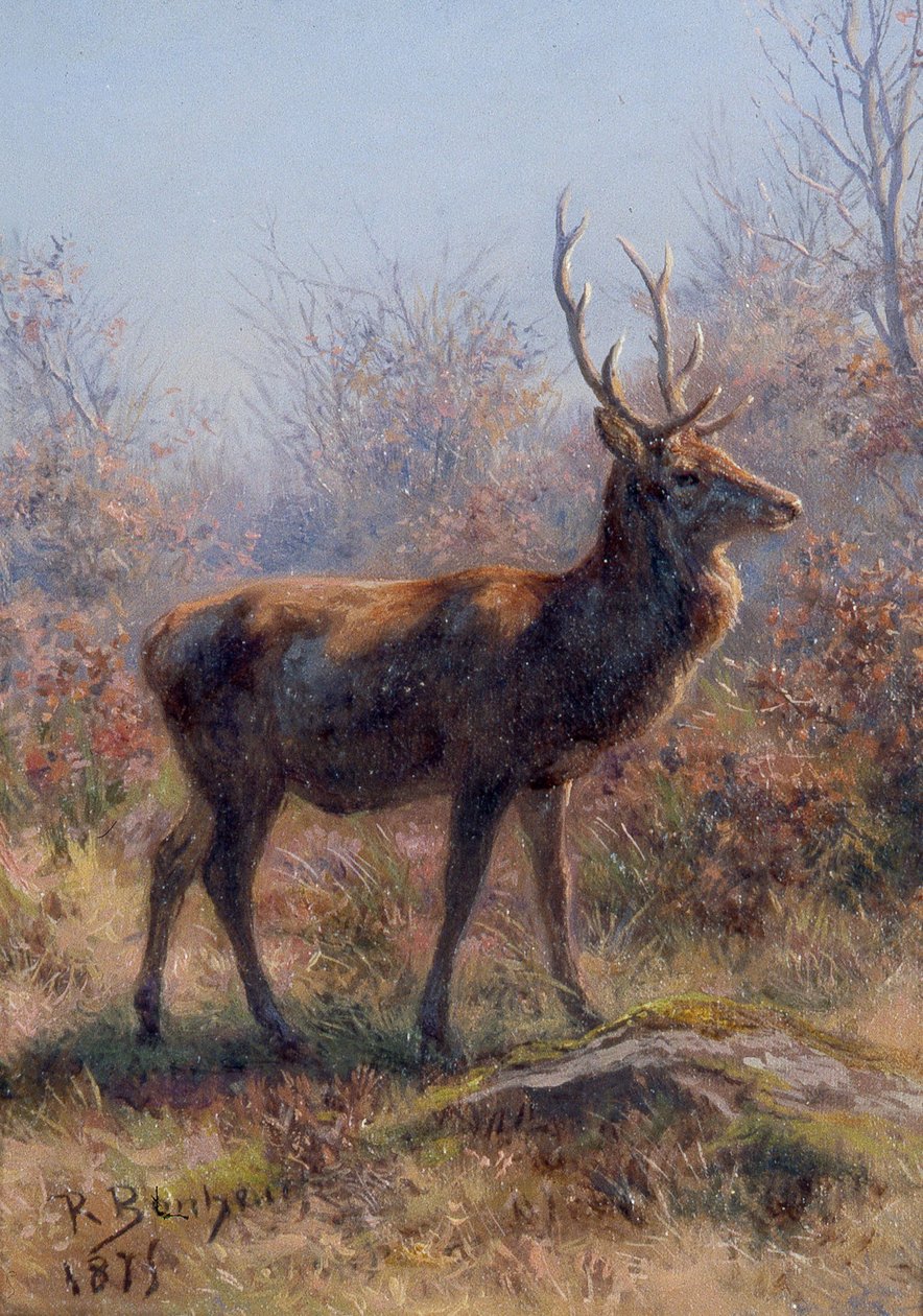 Hjorten af Rosa Bonheur
