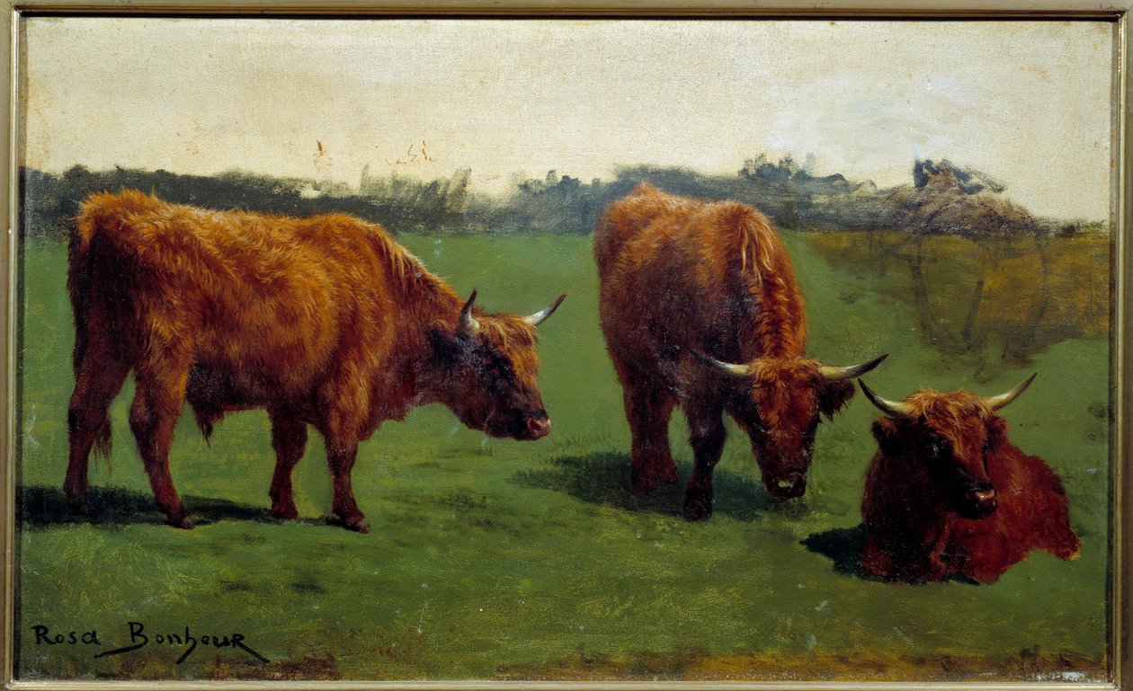 Tre undersøgelser af et rødt oksekød i en præ. Maleri af Rosa Bonheur (1822-1899) af Rosa Bonheur