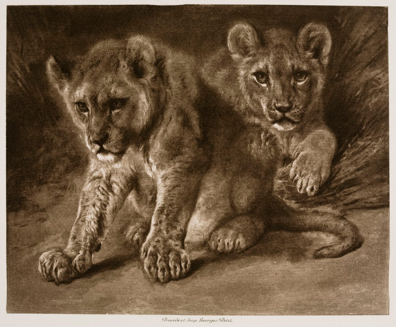 To løveunger af Rosa Bonheur