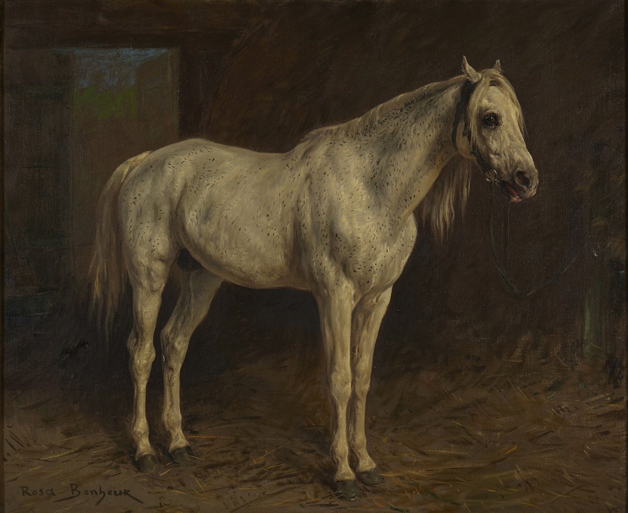 Hvid hest af Rosa Bonheur