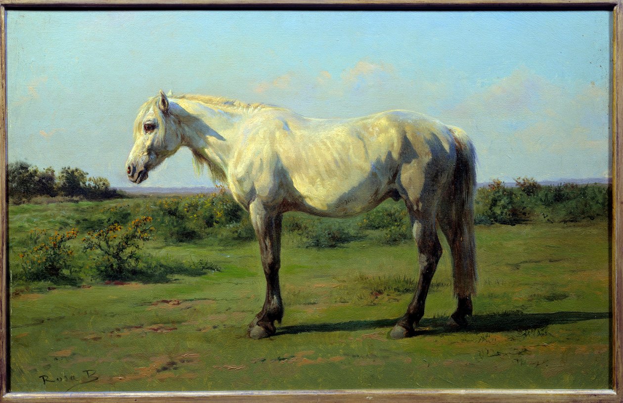 Hvid hest i en pre. Maleri af Rosa Bonheur (1822-1899) af Rosa Bonheur