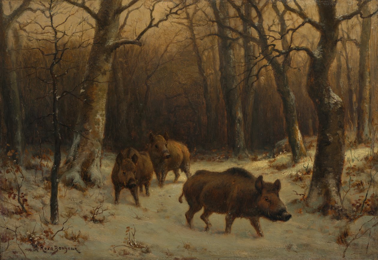 Vildsvin i sneen, ca. 1872-1877. af Rosa Bonheur