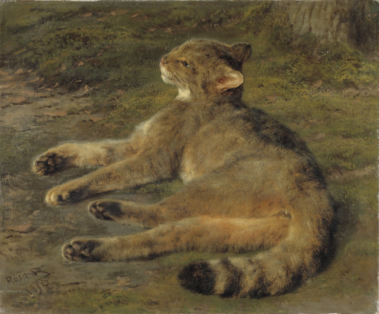 Vild kat, 1850 af Rosa Bonheur