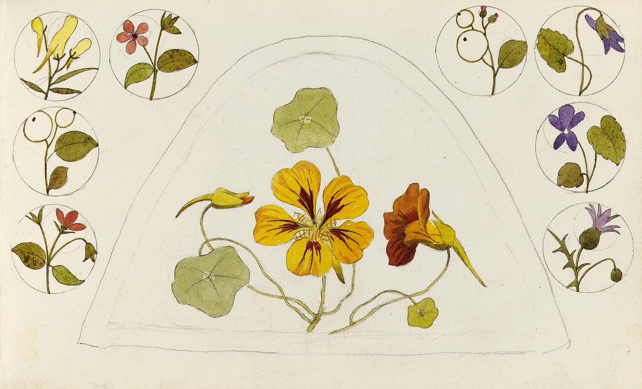 Motiver med nasturtium og andre blomster af Rosa Brett