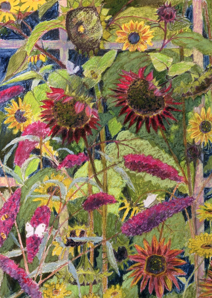 Solens blomster (olie og pastel på papir) af Rosalie Bullock