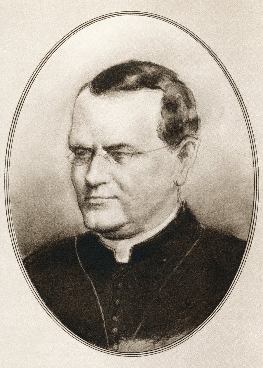 Gregor Johann Mendel, fra Living Biographies of Great Scientists af Ross Gordon