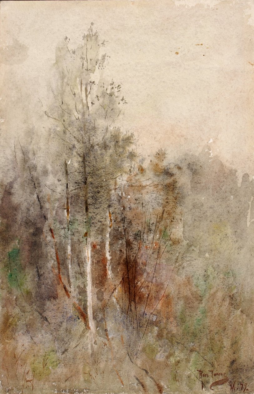 Et træstudie, 1879. af Ross Turner