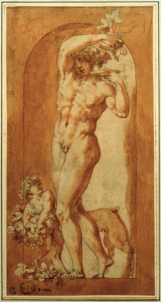Bacchus i niche af Rosso Fiorentino