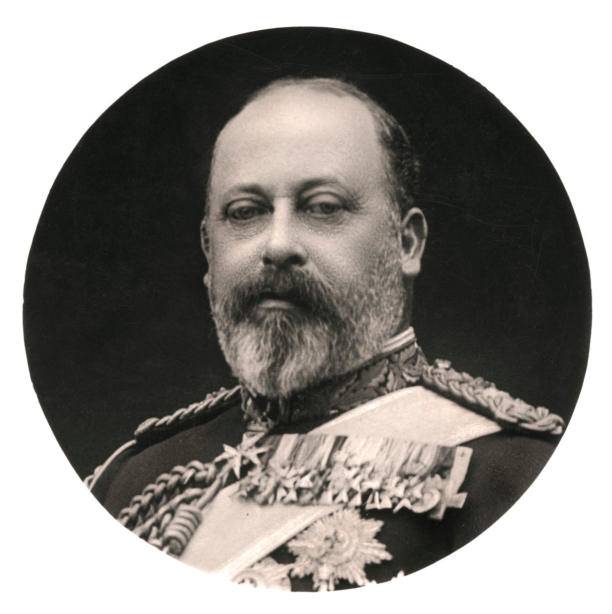 Kong Edward VII, det 20. århundrede. af Rotary Photo