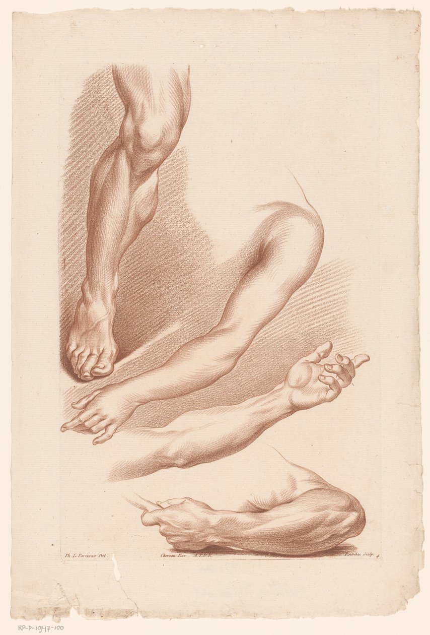 Tre arme og et ben Principper for at tegne fra naturen, del syv (serietitel) VIIe Cahier de Principes du Design d
