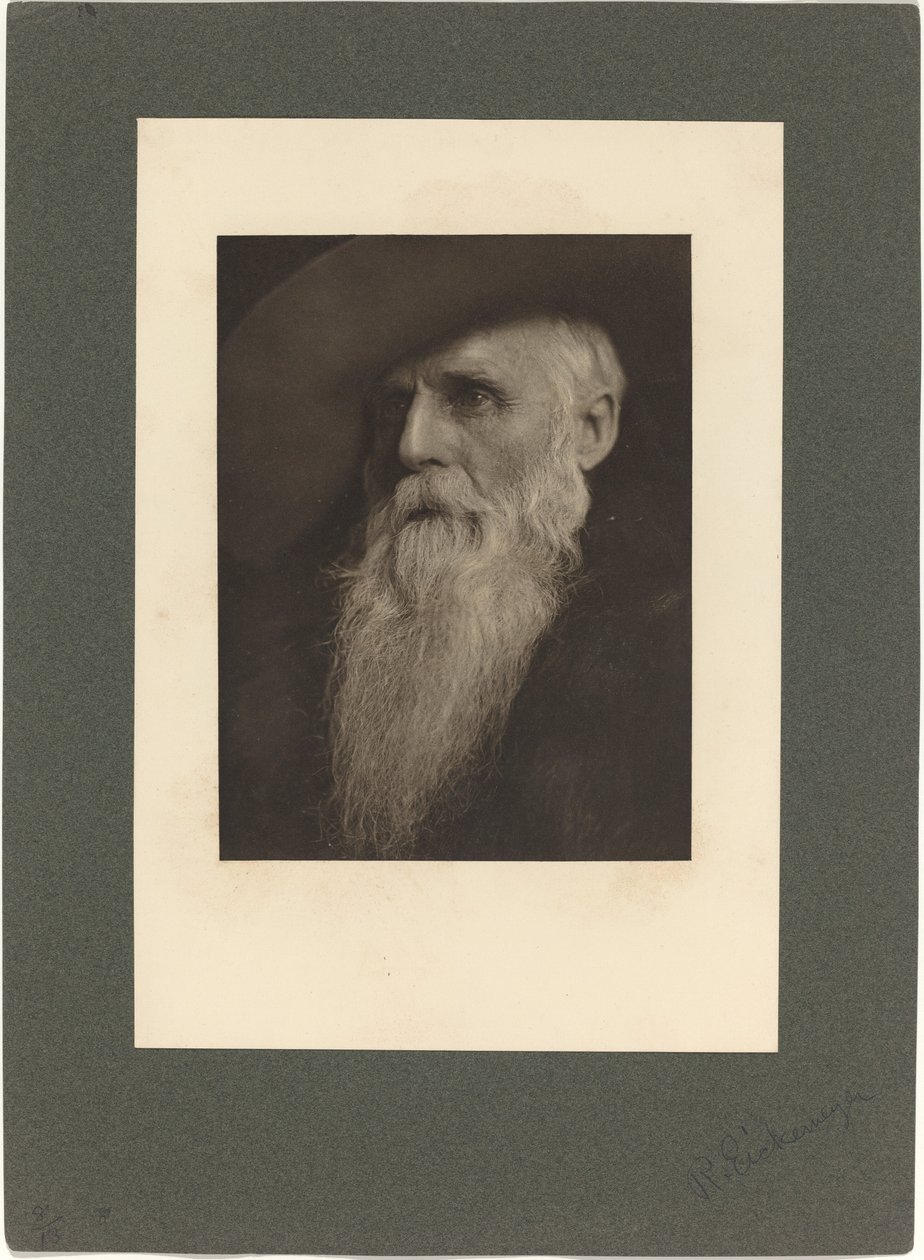 The Ranchman, 1901. af Rudolf Eickemeyer Jnr