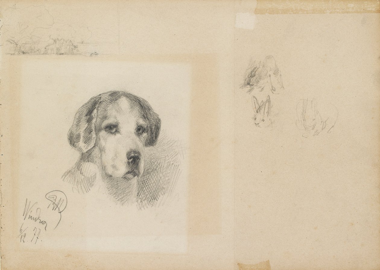 Portræt af en hund: Windsor, 1877 af Rudolf Wimmer