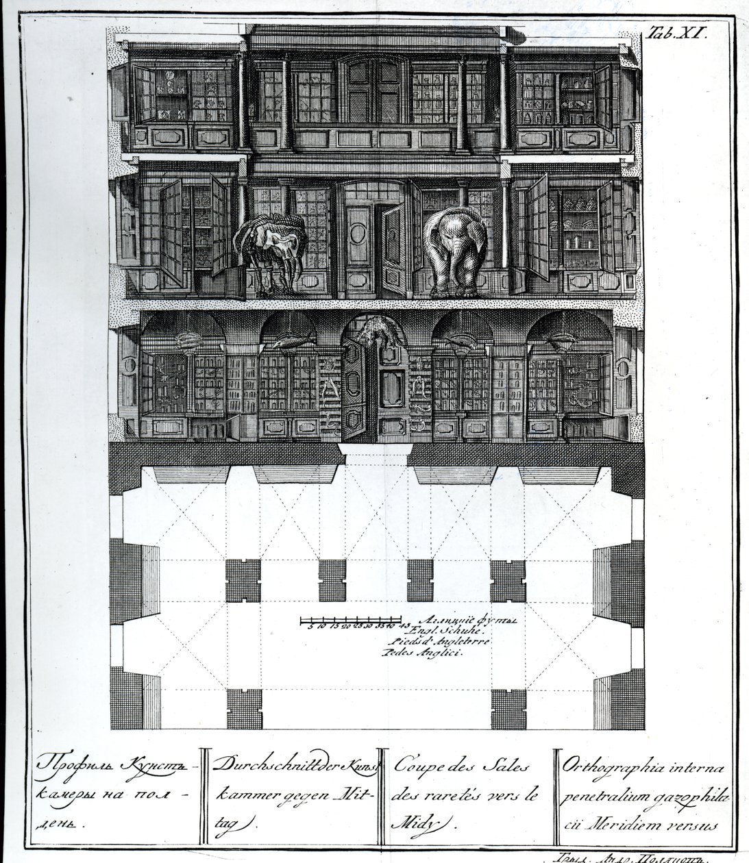 Et snitbillede af Hall of Rarities mod syd, illustration i Chambers of the St. Petersburg Imperial Academy of Sciences Library and Gallery, der viser planer, facader og profiler af Johann af Russian School