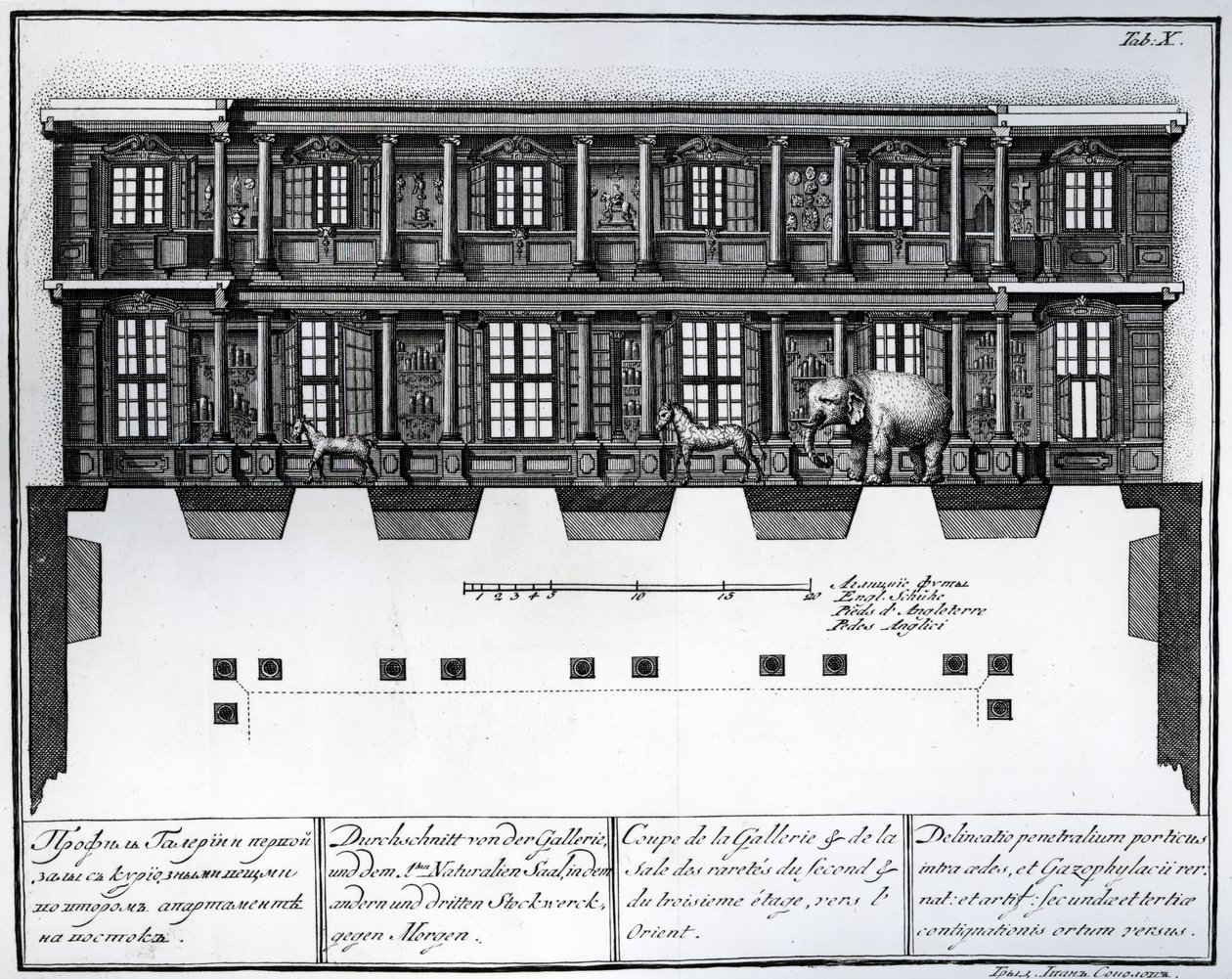 Snitbillede af anden og tredje etage i Hall of Rarities mod øst, illustration i Chambers of the St. Petersburg Imperial Academy of Sciences Library and Gallery viser Plans, Fac af Russian School