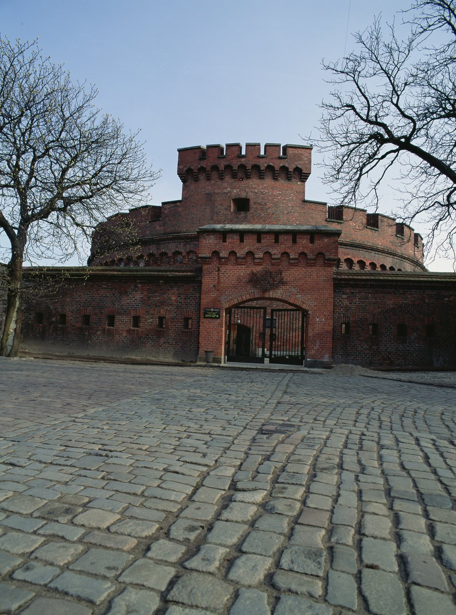 Udsigt over Dohna Tower, der huser Amber Museum af Russian School