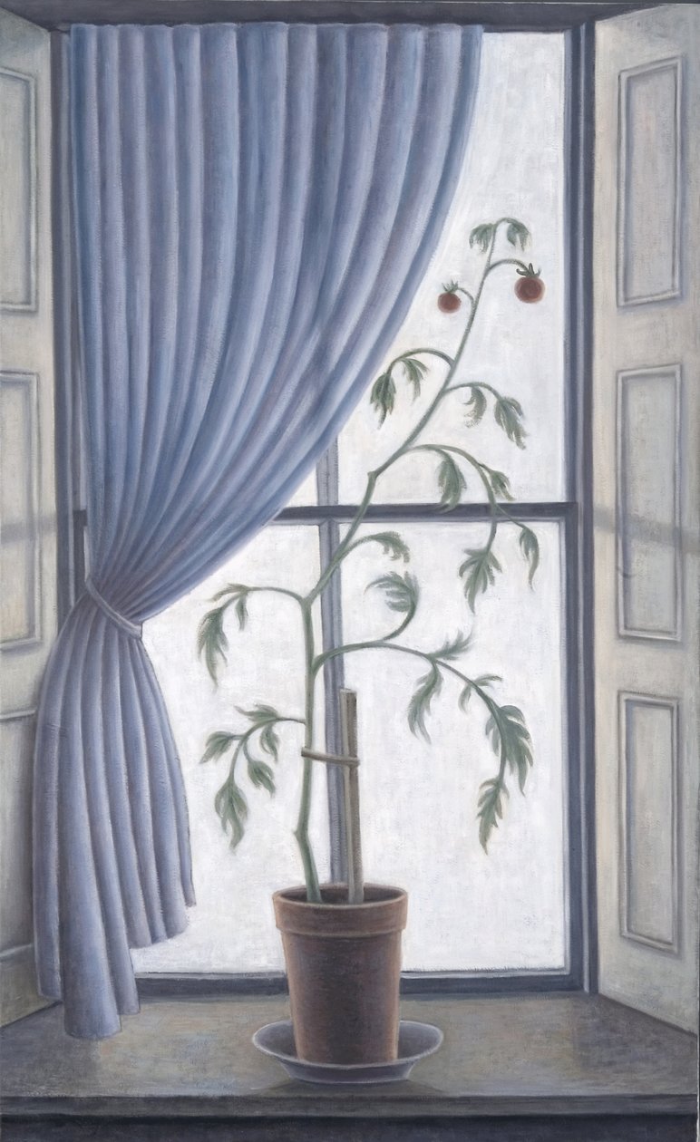 Plant in Window, 2003 af Ruth Addinall