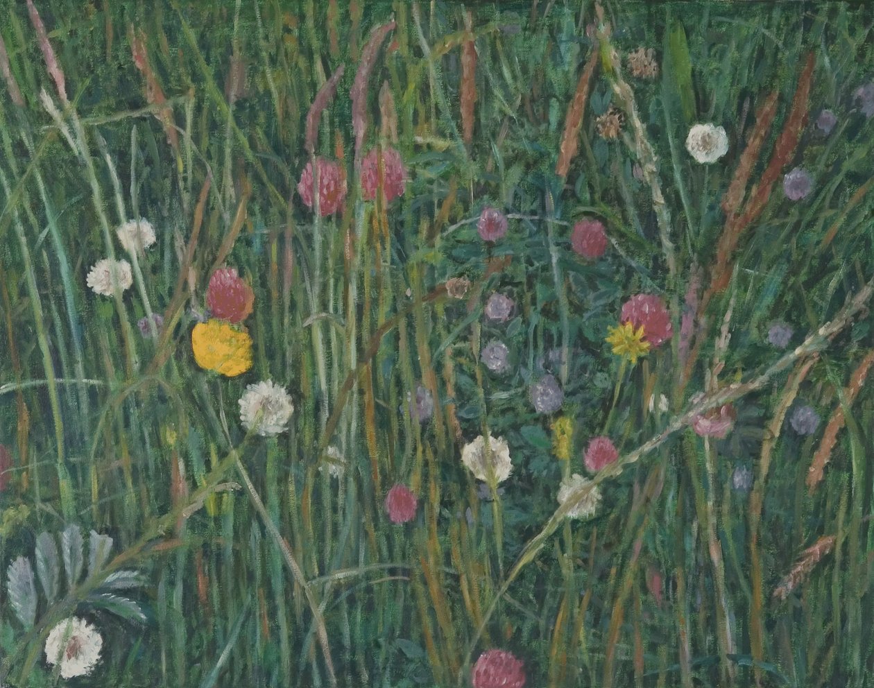 Plants of the Machair, 2008 af Ruth Addinall