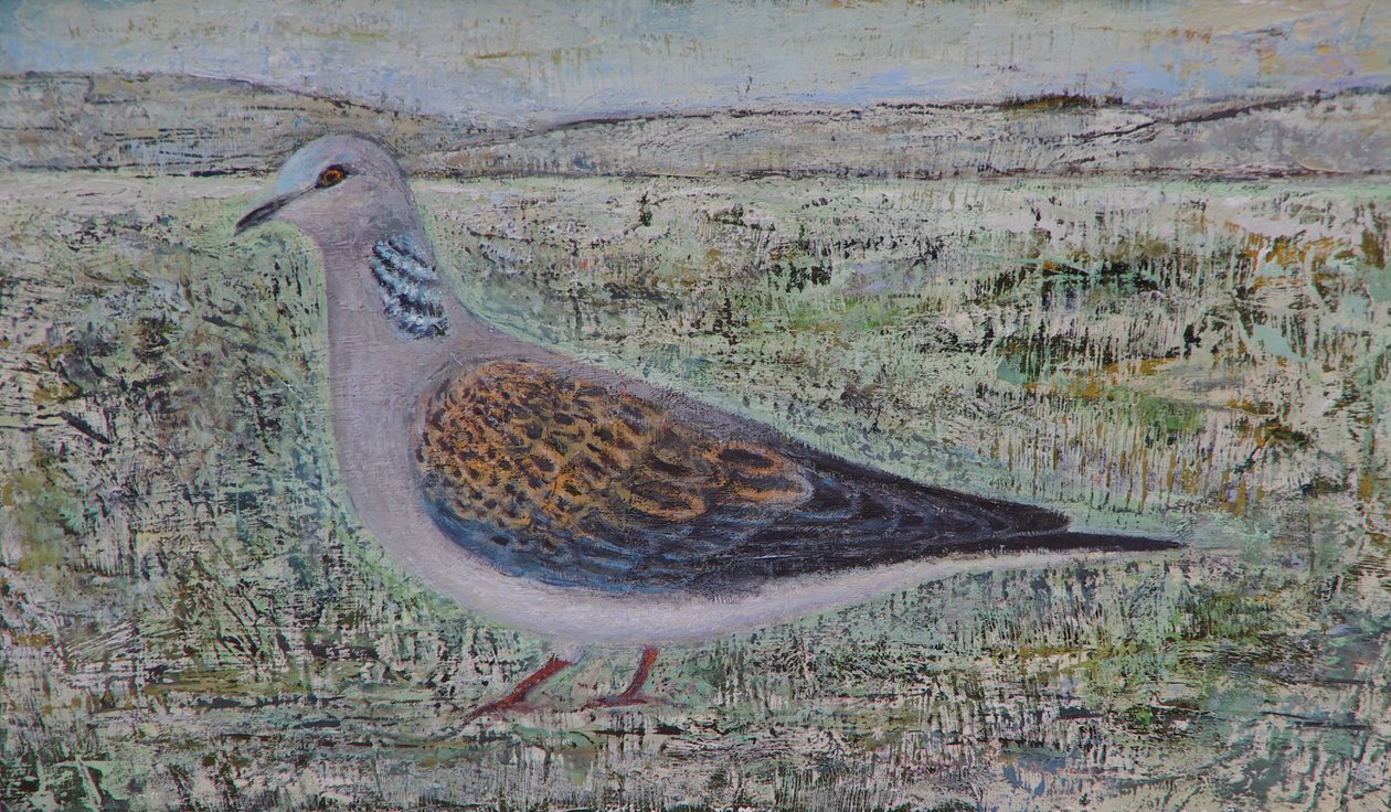 Turteldue af Ruth Addinall
