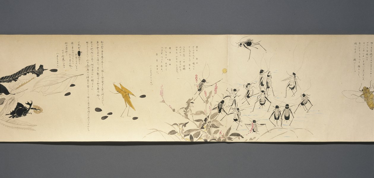 Wildlife Friends (Yasei no Tomo), Taisho Periode, Taisho 7. år, ca. 1918 (blæk & wc på vævet papir dekoreret med glimmer) af Ryoka Kawakami