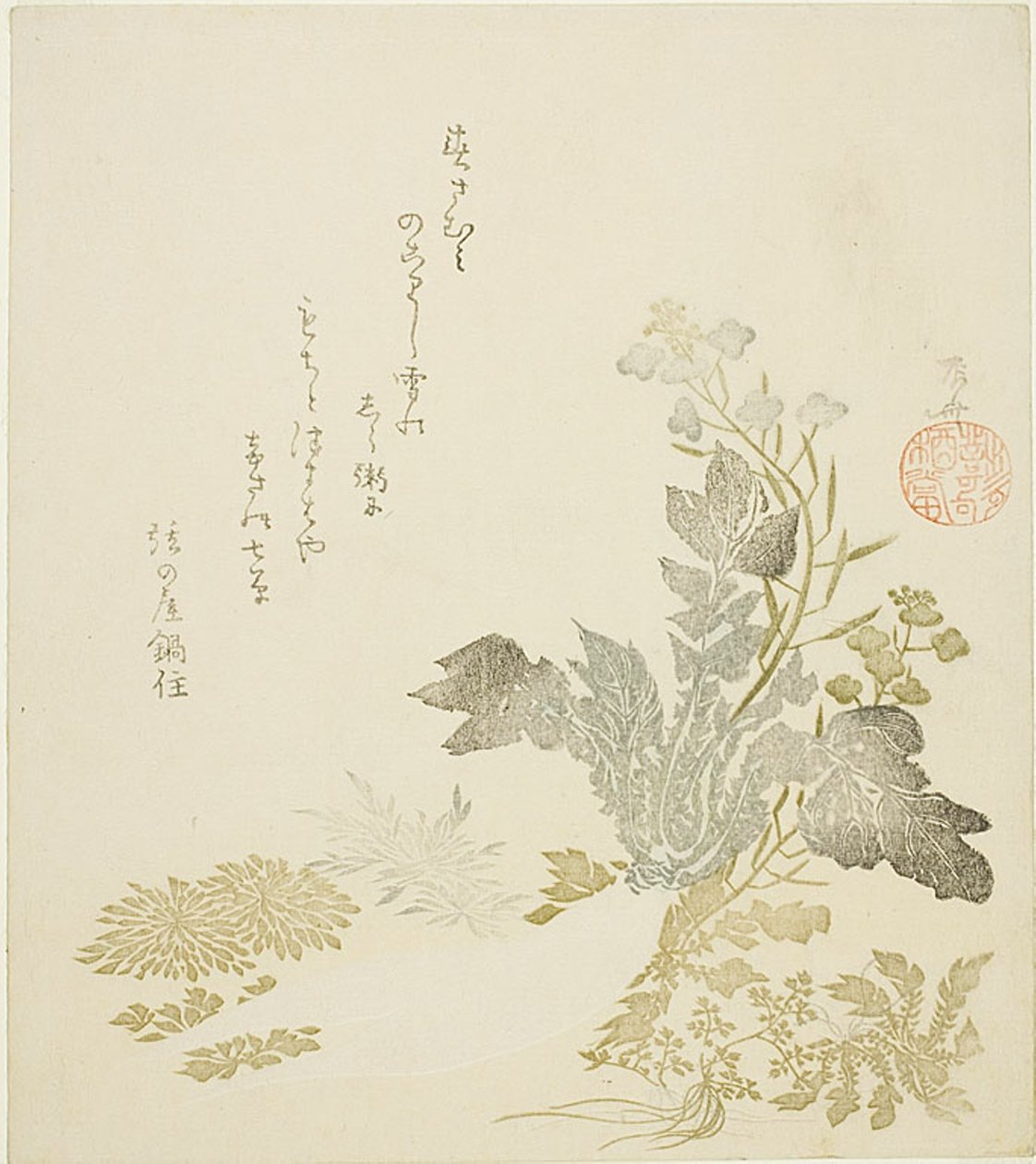 En kæmpe radise (daikon), krysantemum og bregner af Ryuryukyo Shinsai