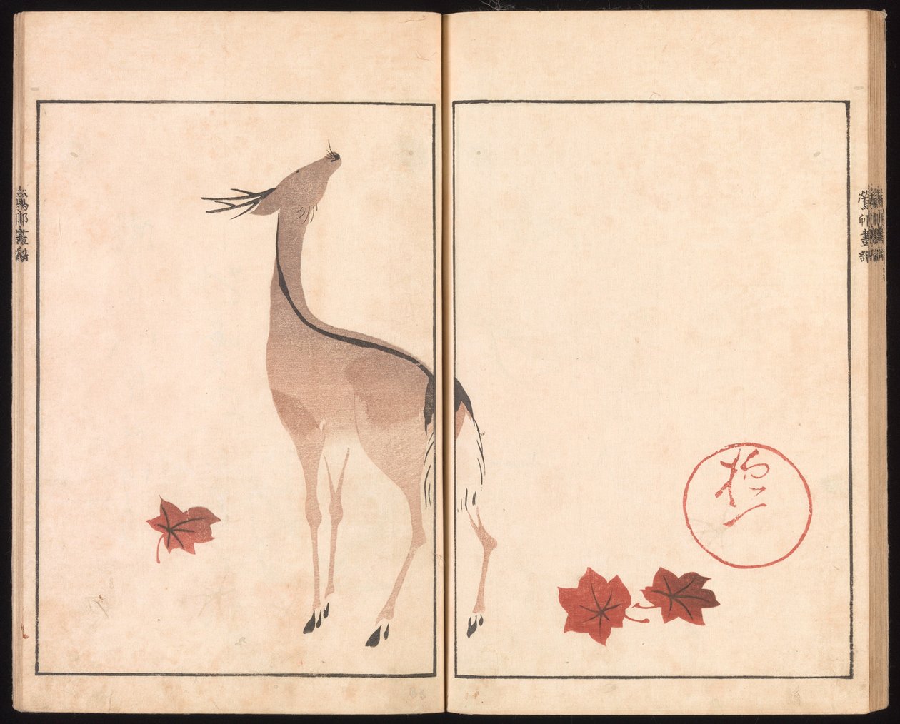 Ōson (Hōitsu) billedalbum (Ōson gafu) af Sakai Hoitsu