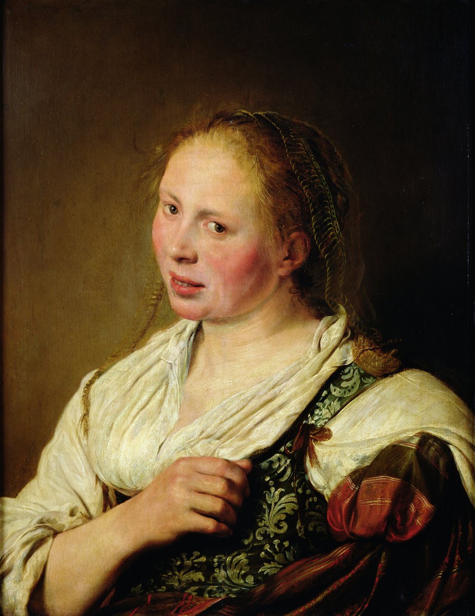 Maleri af den unge bonde af Salomon de Bray