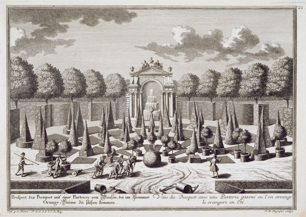 Parterre med appelsintræer i haven til Lichtenstein-paladset, Wien, graveret af Franz Michael Regenfus (ca. 1712-80), udgivet ca. 1724-37 af Salomon Kleiner