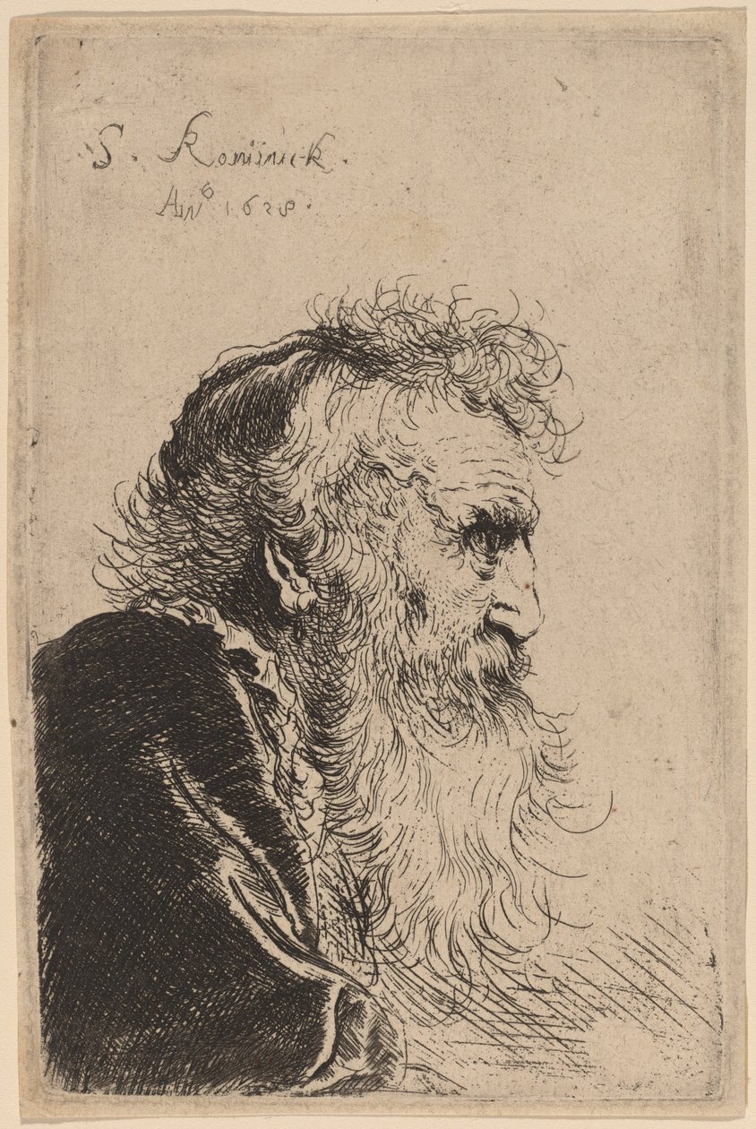 Buste af en gammel mand i profil, mod højre af Salomon Koninck