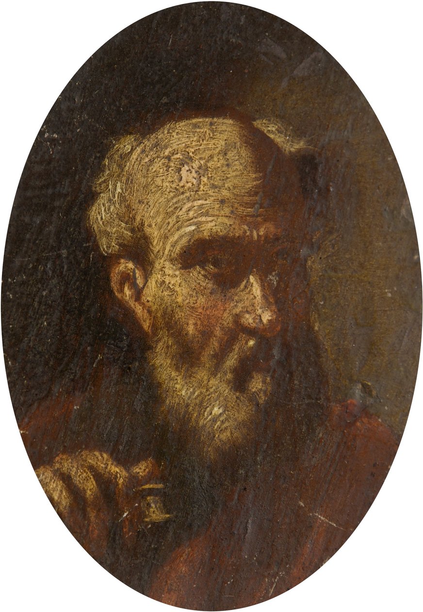 Hoved af en gammel mand af Salvator Rosa