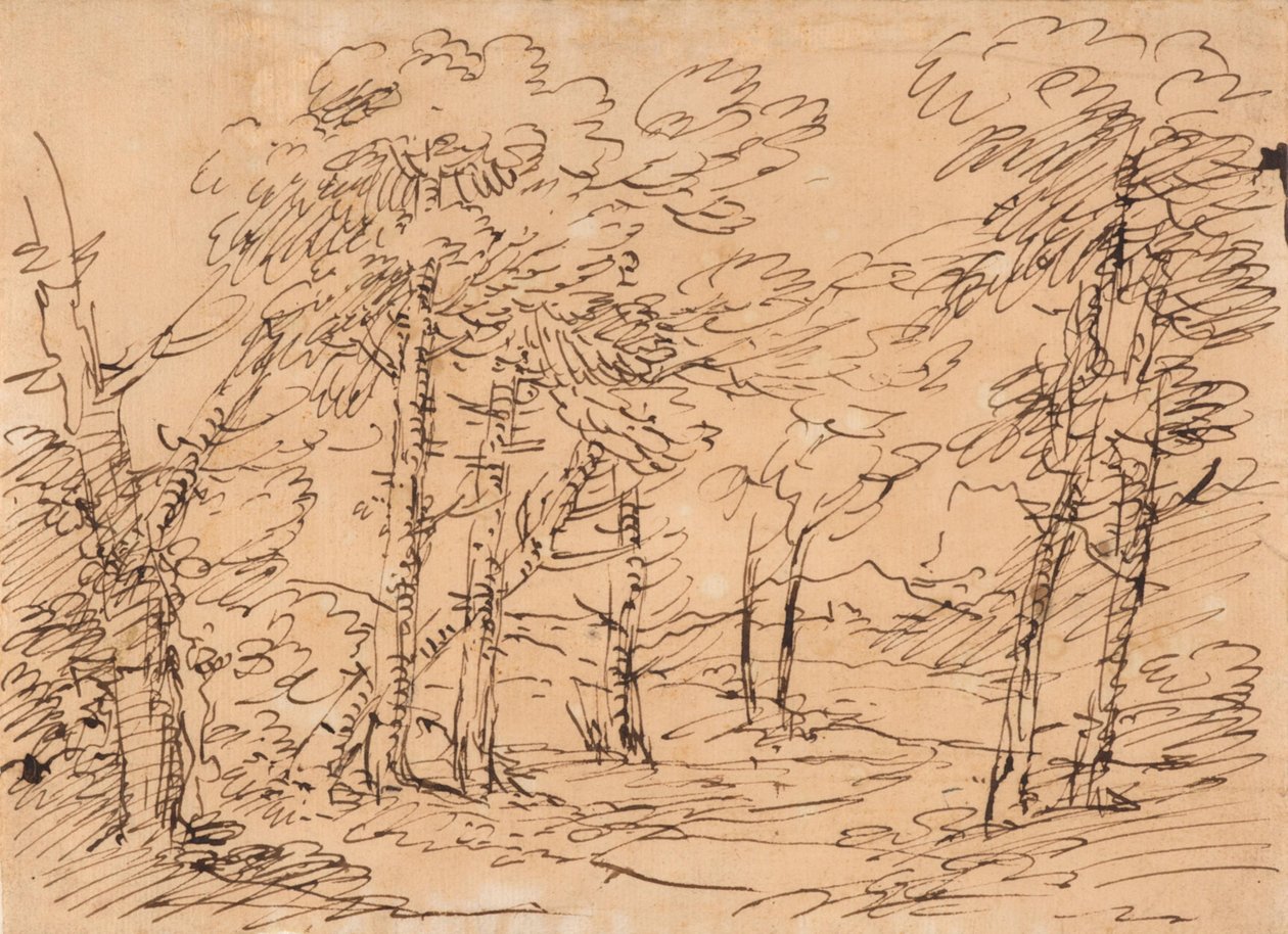 Landskab med træer og bjerge i baggrunden af Salvator Rosa