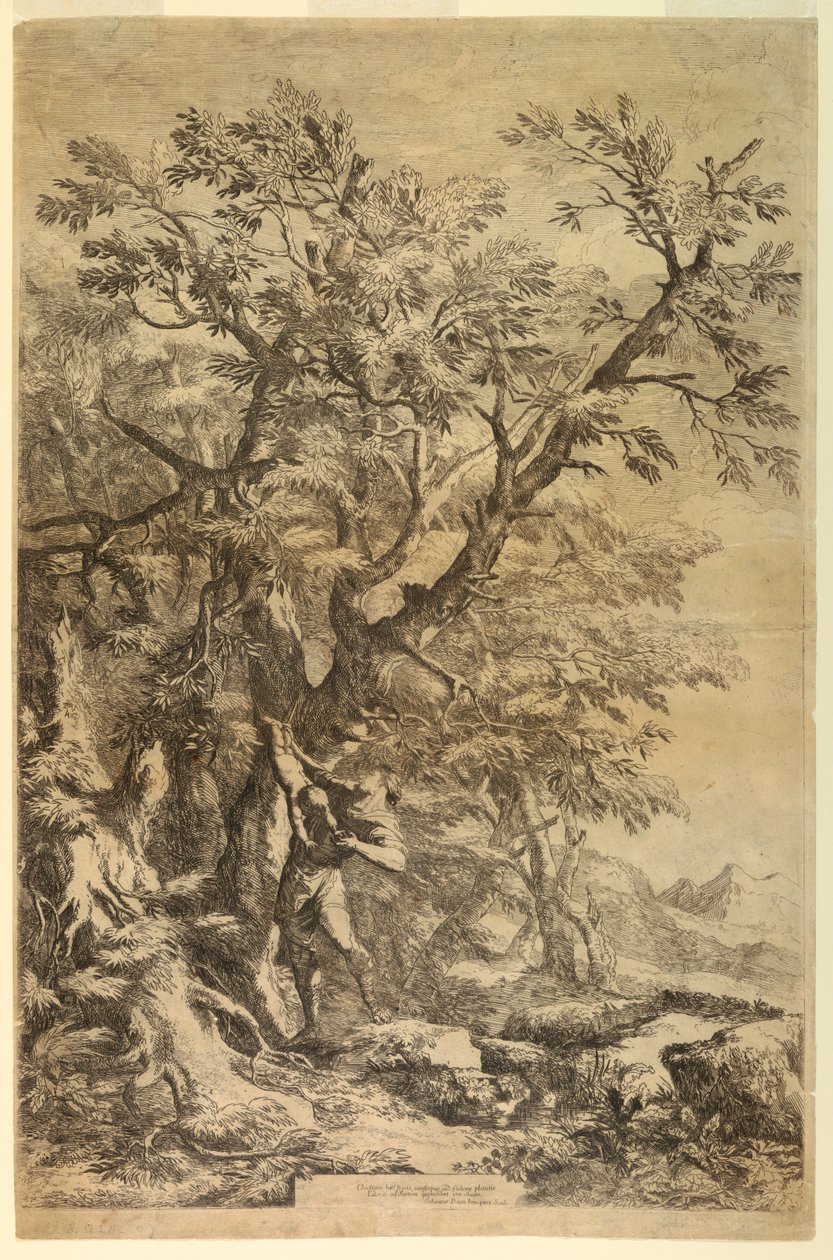 Ødipus udsat på bjerget Cithaeron af Salvator Rosa