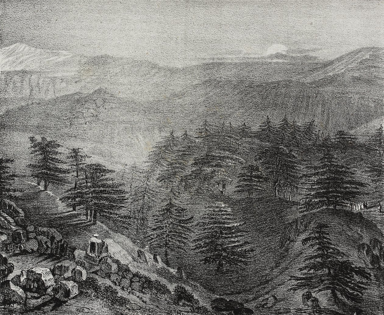 Udsigt over Mount Libanon med dets berømte cedertræer, Libanon, litografi af Salvatore Puglia fra Poliorama Pittoresco, n 10, 15. oktober af Salvatore Puglia