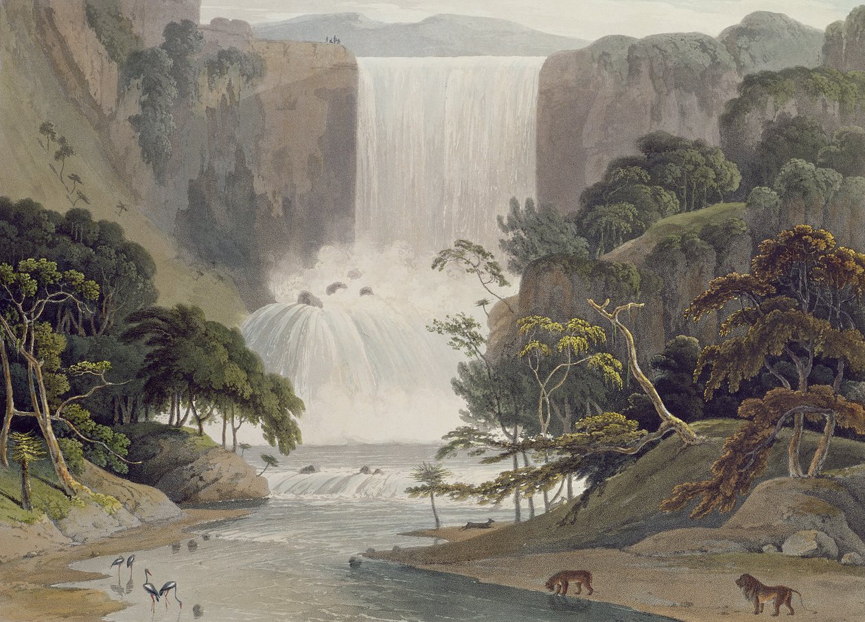 Kaskade på Sneuwberg, plade 25 fra "African Scenery and Animals", graveret af kunstneren, 1805 (farvet akvatint) af Samuel Daniell