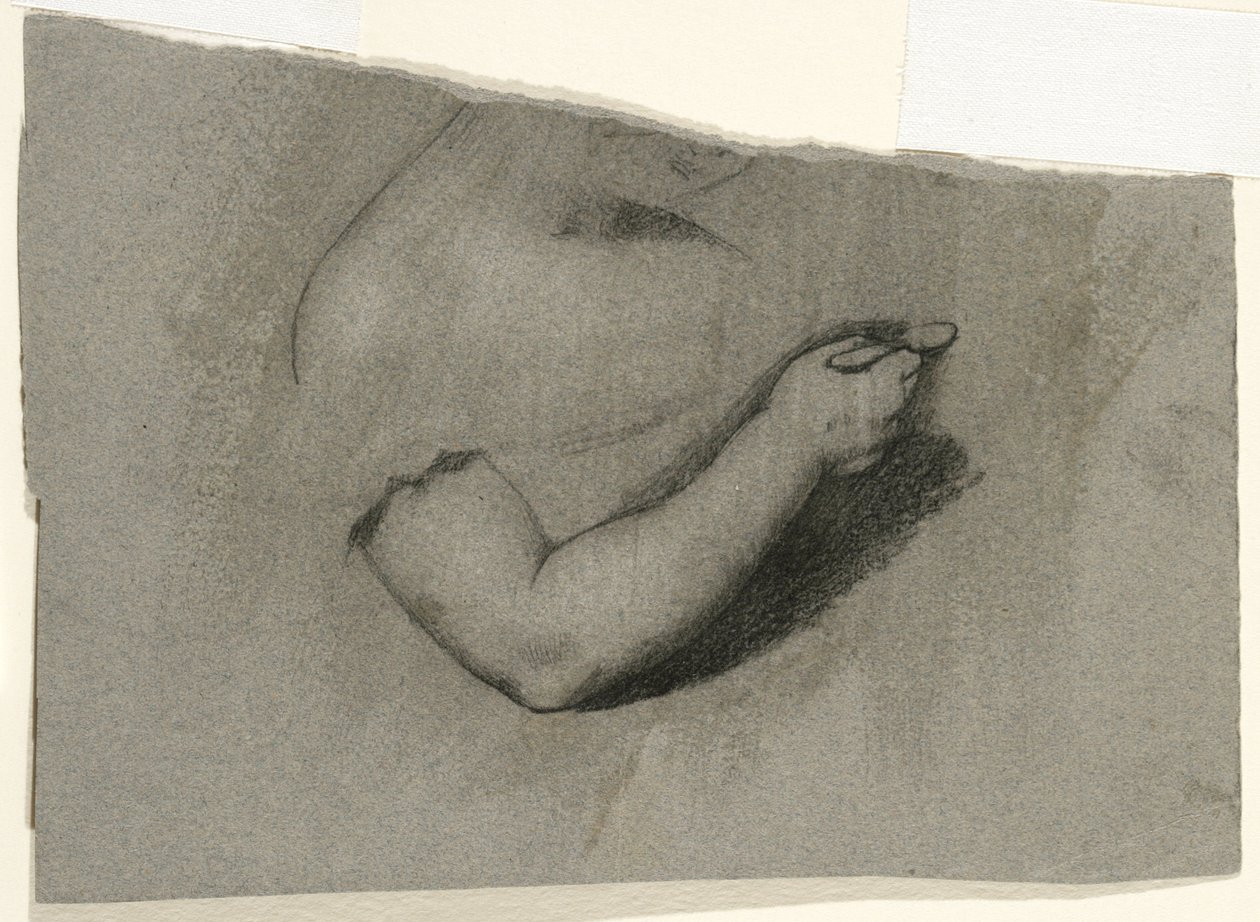 Studie til et portræt af Mary Hone, 1824 (kul og hvidt kridt på gråbrunt vævet papir) af Samuel Finley Breese Morse