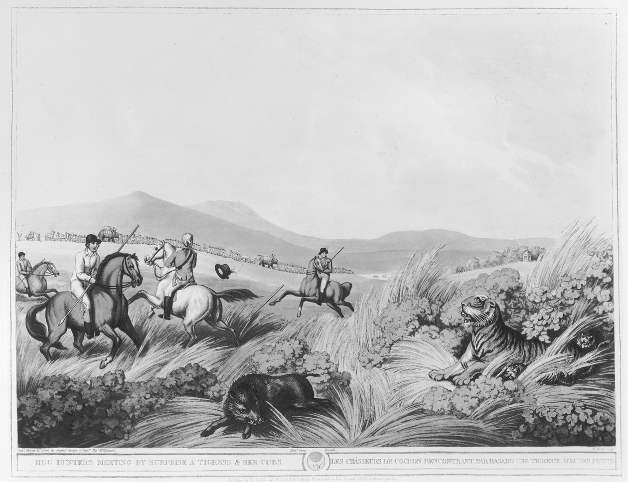 Hog Hunters Meeting, af Surprise, a Tigress and her Cubs, indgraveret af H.Merke (fl.1800-20) efter et originalt design af kaptajn Thomas Williamson, pub. af Edward Orme (1774-c.1820) (bundw pho af Samuel Howett
