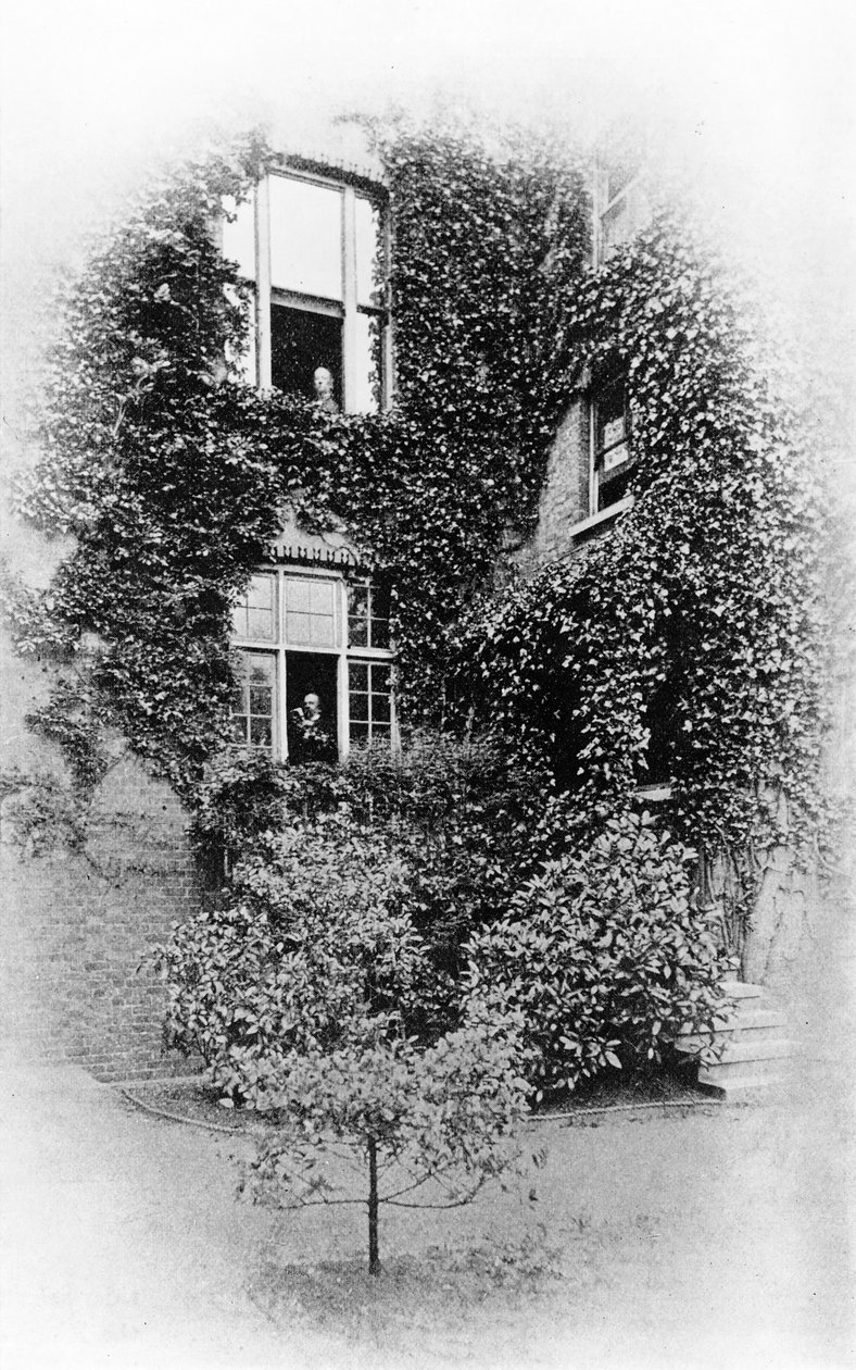 Summer at The Pines, Swinburnes hjem i Putney, ca. 1900-09 (bw foto) af Samuel James Poole