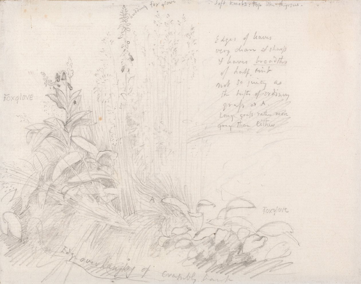 Rævehandsker af Samuel Palmer