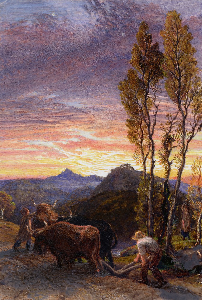 Okser, der pløjer ved solnedgang af Samuel Palmer