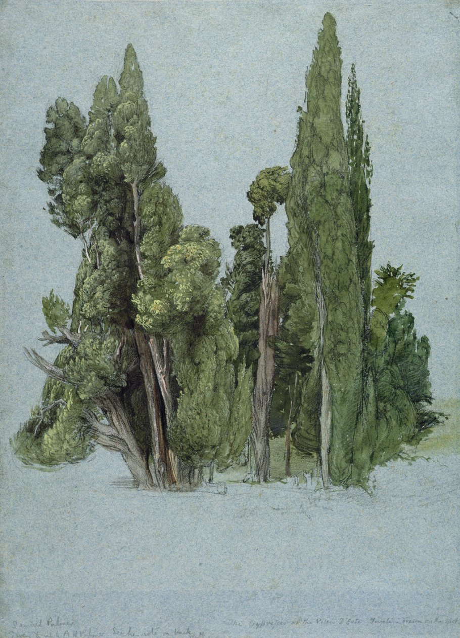 Cypresserne ved Villa d